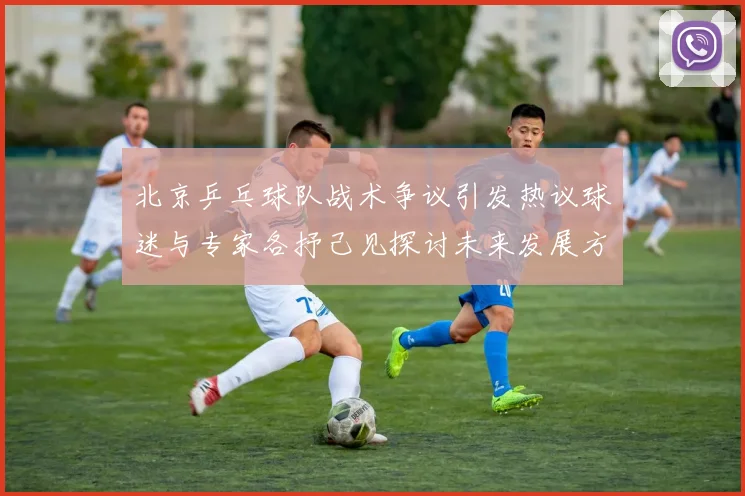北京乒乓球队战术争议引发热议球迷与专家各抒己见探讨未来发展方向