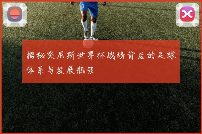 揭秘突尼斯世界杯战绩背后的足球体系与发展瓶颈
