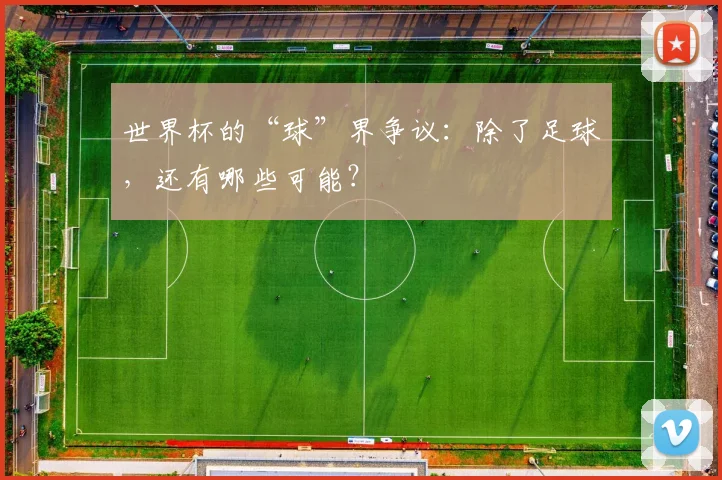 世界杯的“球”界争议：除了足球，还有哪些可能？