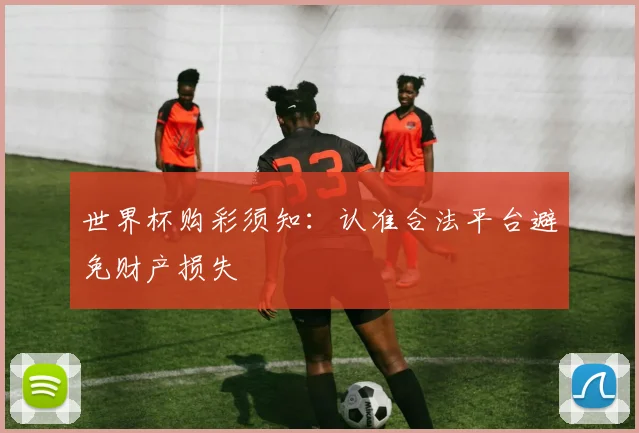 世界杯购彩须知:认准合法平台避免财产损失