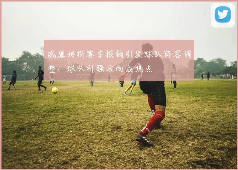 威廉姆斯赛季报销引发球队阵容调整,球队补强方向成焦点