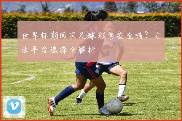世界杯期间买足球彩票安全吗?合法平台选择全解析
