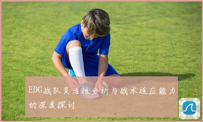 EDG战队灵活性分析与战术适应能力的深度探讨