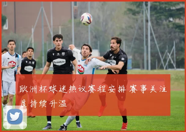 欧洲杯球迷热议赛程安排 赛事关注度持续升温