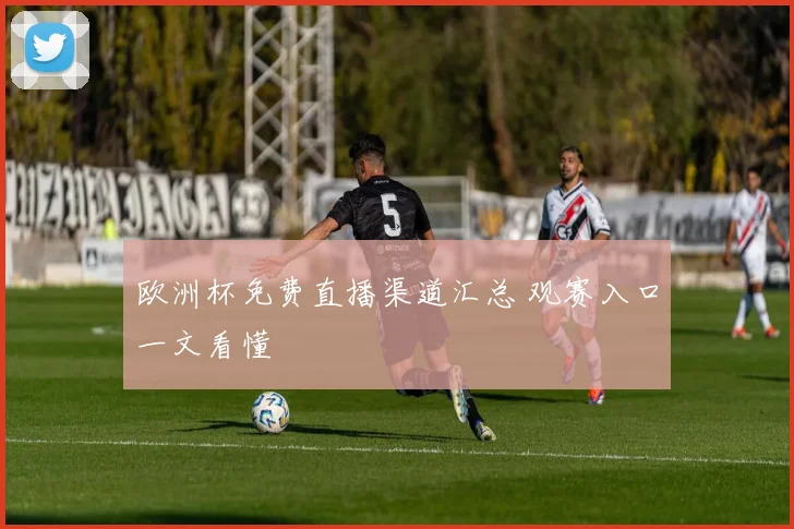 欧洲杯免费直播渠道汇总 观赛入口一文看懂