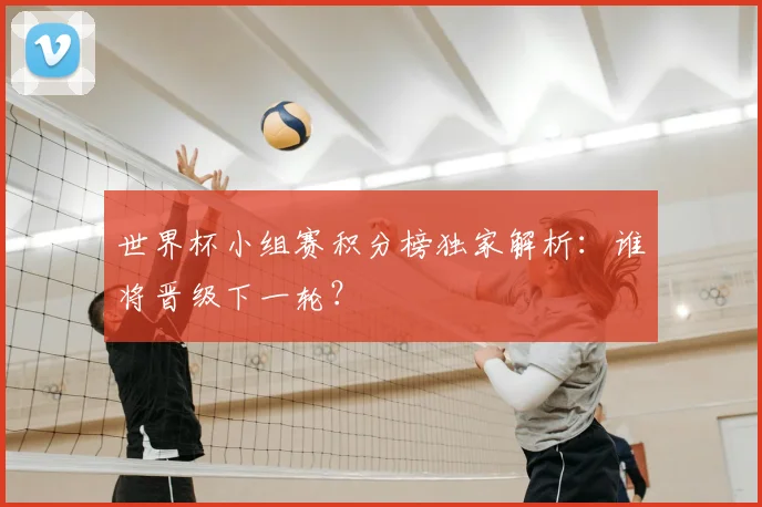 世界杯小组赛积分榜独家解析：谁将晋级下一轮？