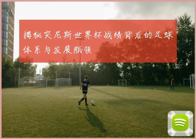 揭秘突尼斯世界杯战绩背后的足球体系与发展瓶颈