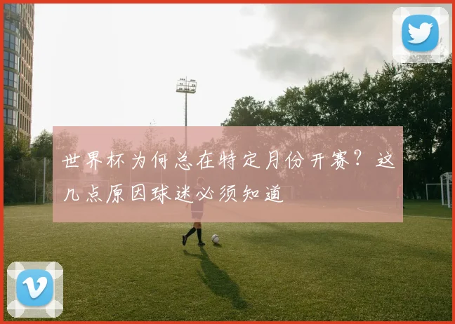 世界杯为何总在特定月份开赛?这几点原因球迷必须知道